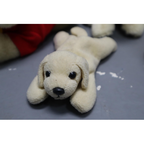 834 - Collection of Cuddly Plush Collectable Doggie Teddies to include Keel, Beenie, Andrex and other