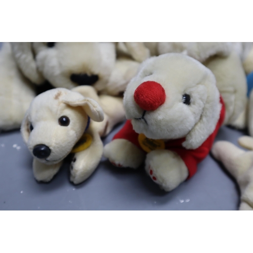 834 - Collection of Cuddly Plush Collectable Doggie Teddies to include Keel, Beenie, Andrex and other