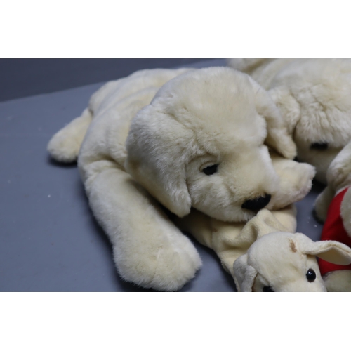 834 - Collection of Cuddly Plush Collectable Doggie Teddies to include Keel, Beenie, Andrex and other