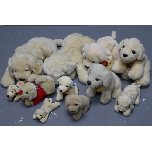 834 - Collection of Cuddly Plush Collectable Doggie Teddies to include Keel, Beenie, Andrex and other