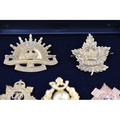 292 - Seven Various Military Cap Badges