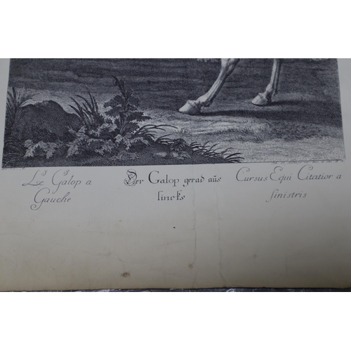 236 - Pair of Vintage Copper Engraved Reprints by Johann Elias Ridinger (1698-1767) Depicting Palotade a D... 