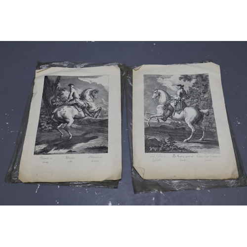 236 - Pair of Vintage Copper Engraved Reprints by Johann Elias Ridinger (1698-1767) Depicting Palotade a D... 