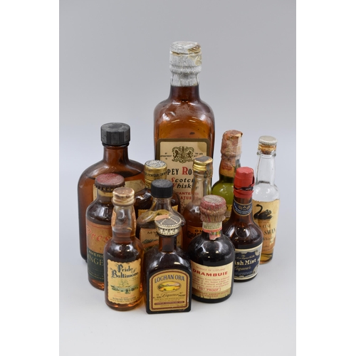 249 - Ten Miniature Whiskey Bottles including Golden Glow, Cutty Sark, Black, Swan and More together with ... 