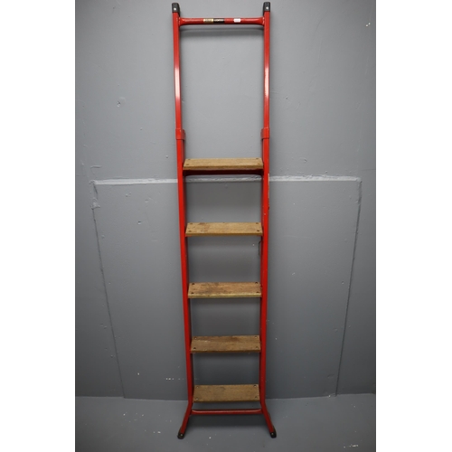 317 - Set of Metal Five Rung Beldray Lofty Ladders