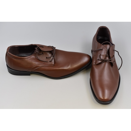 705 - Pair of Brand New Brown Leather Brogue Shoes in size 12.5 uk