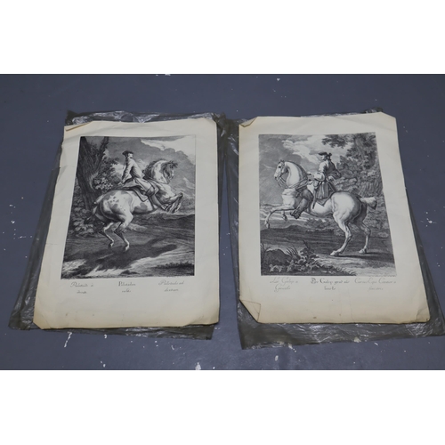 Pair of Vintage Copper Engraved Reprints by Johann Elias Ridinger (1698-1767) Depicting Palotade a Droite Gallop From The Left and Gallop From The Right approx 18"x 13.5"