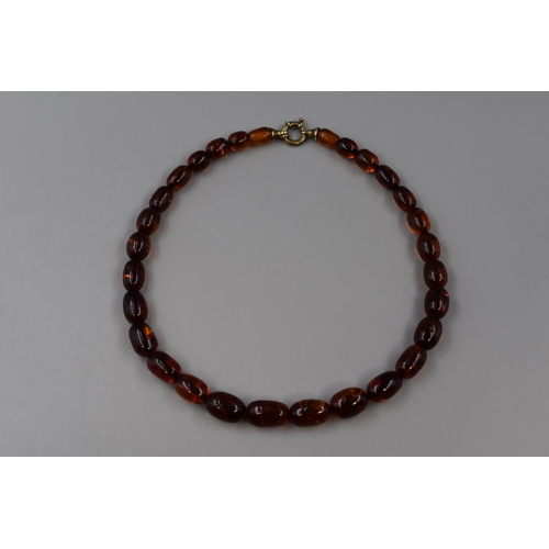 Graduated Amber Beaded Necklace with Silver 925 Clasp and Presentation Box (Length 18")