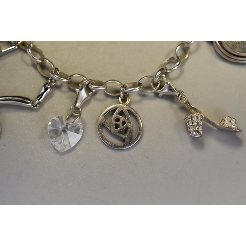 82 - A Sterling Silver Charm Bracelet With a Selection of Twelve Sterling Silver Charms