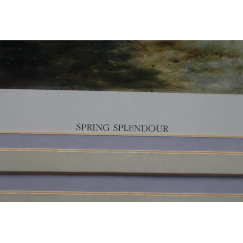 405 - Keith Carol Pencil Signed Print Entitled “Spring Slendour”. Framed and Glazed (31.5&rdqu... 