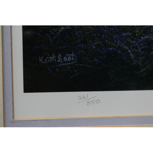 405 - Keith Carol Pencil Signed Print Entitled “Spring Slendour”. Framed and Glazed (31.5&rdqu... 