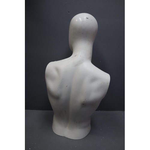 541 - Male Torso Mannequin (30”)