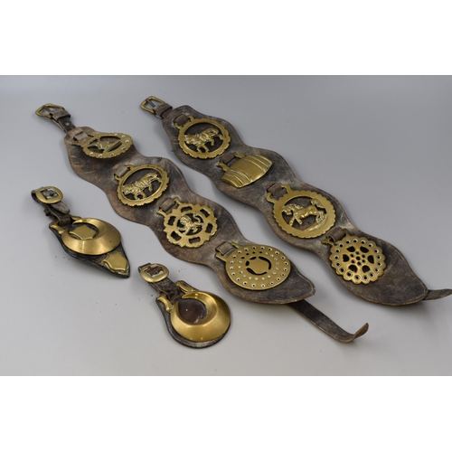 575 - Three Vintage Leather Mounted Horse Brasses