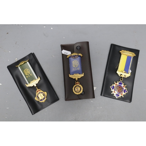 240 - Three Royal Antdiluvian Order of Buffalos Jewel Medals, William Hall Lodge, Dolls Park Lodge, And Ot... 