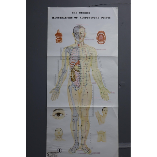 340 - Three Acupuncture Points Posters (Approx. 32” x 12” Each)