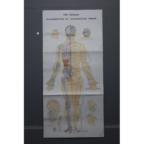 340 - Three Acupuncture Points Posters (Approx. 32” x 12” Each)