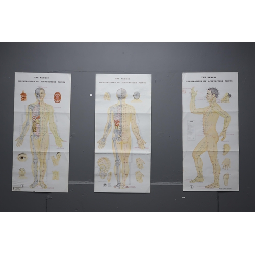 340 - Three Acupuncture Points Posters (Approx. 32” x 12” Each)