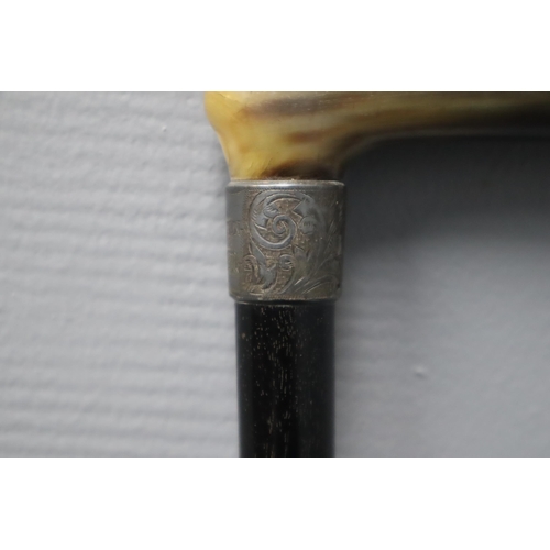 407 - Victorian walking cane with silver Chester 1894 collar inscribed W.Banton 5th Aug 1896 with antler h... 