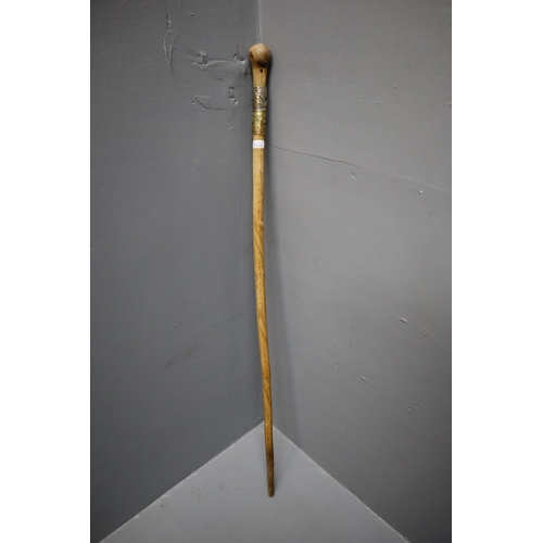 408 - Pfunds in Tirol walking cane with two half neck collars