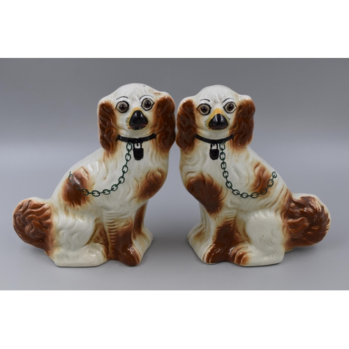 254 - A pair of antique Staffordshire spaniels measuring 10