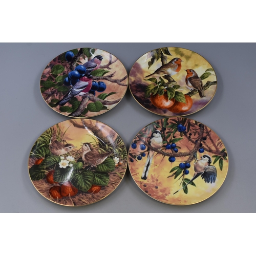 392 - Twelve Wedgwood Birds and Fruit Collectors Plates