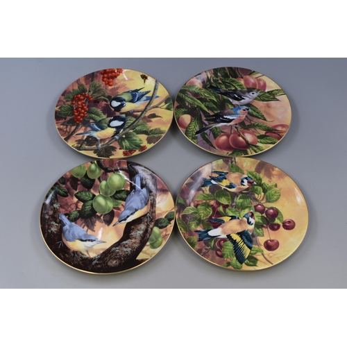 392 - Twelve Wedgwood Birds and Fruit Collectors Plates