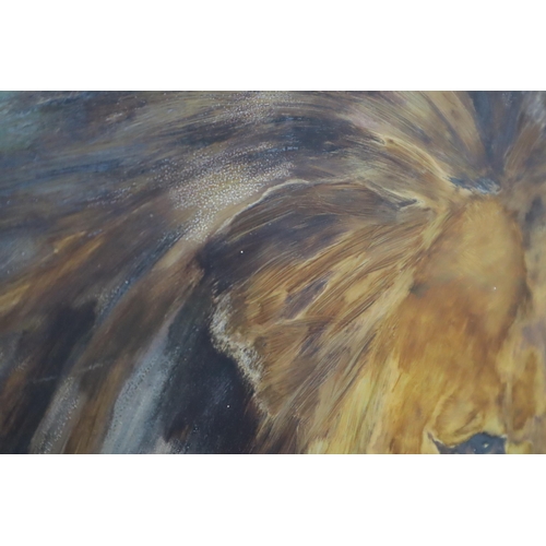 573 - After Geza Jeno Ferenc Vastagh (Hungarian 1866-1919), study of lion and lioness, Oil on Glass in Woo... 