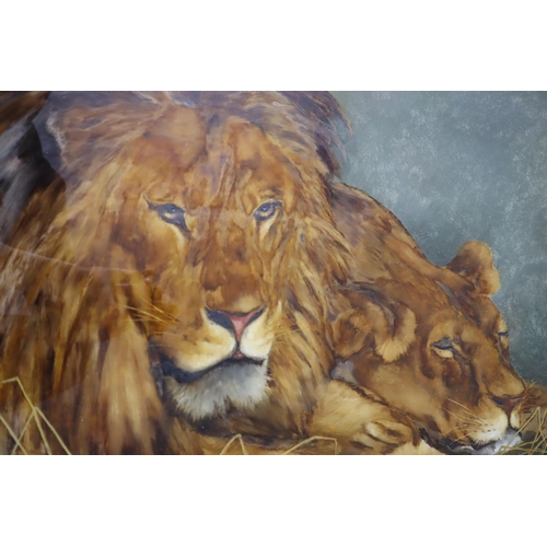 573 - After Geza Jeno Ferenc Vastagh (Hungarian 1866-1919), study of lion and lioness, Oil on Glass in Woo... 