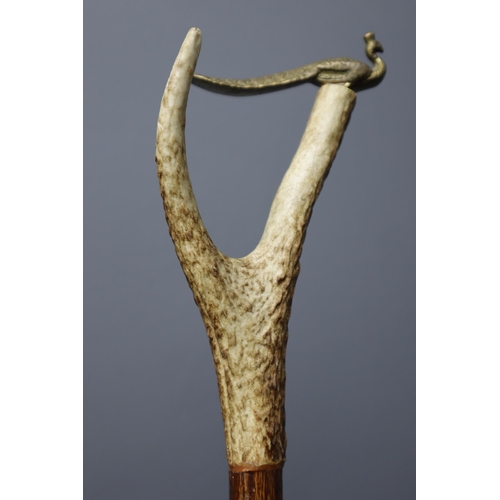 332 - A Horn Handled Walking Stick With Brass Peacock Decoration, Approx 37.5