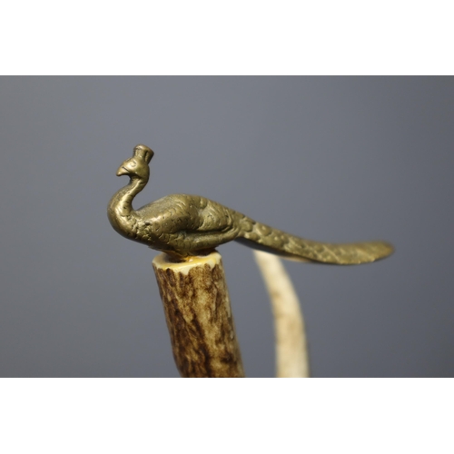 332 - A Horn Handled Walking Stick With Brass Peacock Decoration, Approx 37.5