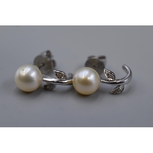 8 - Gold 18ct (750) Cumingii Cultured Pearl and Diamond Earring Set complete with Original Box and Paper... 