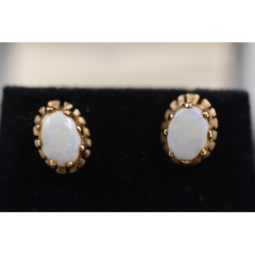 16 - Pair of 9ct Gold Opal Stoned Earrings Complete with Presentation Box