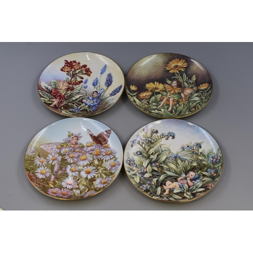 713 - Twelve Border Fine Arts Limited Edition Festival of Flower Fairies Collectors Plates with Certificat... 