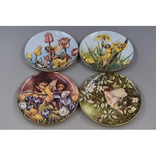 713 - Twelve Border Fine Arts Limited Edition Festival of Flower Fairies Collectors Plates with Certificat... 