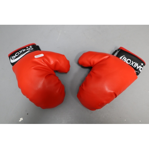 784 - A BRYAN 4 foot punch bag and a pair of kids boxing gloves. NO POSTAGE ON THIS ITEM