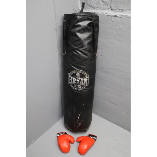 784 - A BRYAN 4 foot punch bag and a pair of kids boxing gloves. NO POSTAGE ON THIS ITEM