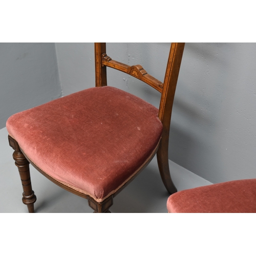 795 - Pair of Elegant Inlaid hall chairs (Velour). NO POSTAGE ON THIS ITEM