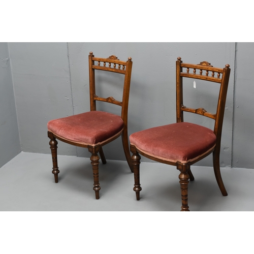 795 - Pair of Elegant Inlaid hall chairs (Velour). NO POSTAGE ON THIS ITEM