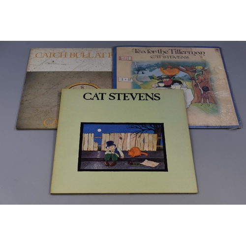 489 - Three 'Cat Stevens' Vinyl LP's to Include, Teaser and the Firecat ( ILPS9154, Gatefold Sleeve ) Tea ... 