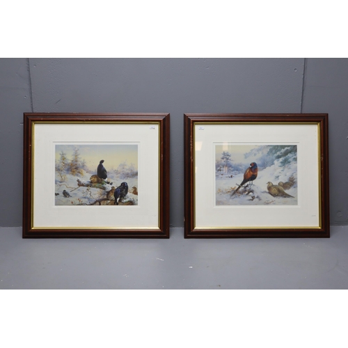 423 - Two Framed and Glazed Limited Edition Archibald Thorburn Prints, Depicting Family of Pheasants and F... 