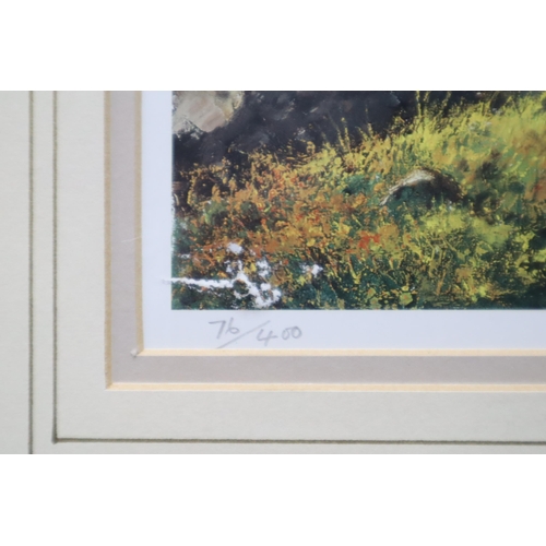 428 - A Selection of Four Framed and Glazed Signed Prints To Include Two Terry Halpin Prints Depicting Loc... 