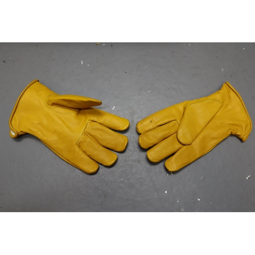 733 - Large Selection of New Hi-Viz Workwear, Ear Protectors, Gloves and Safety Glasses