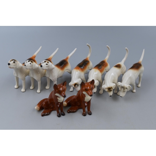 181 - Set of 7 Beswick Hunting Dogs and two Fox Figures