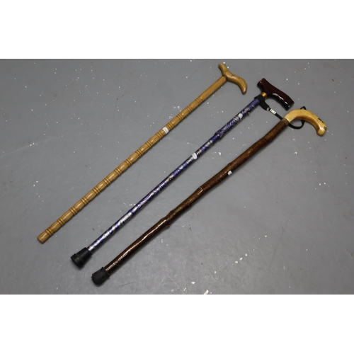 685 - Three Walking Sticks including Collapsible