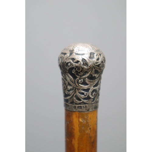 356 - Hallmarked Birmingham Silver Topped Walking Stick