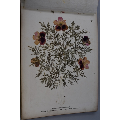 382 - A vintage old book full of pressed flower art