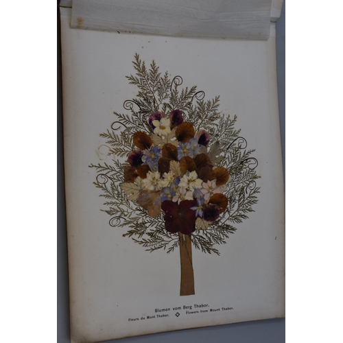 382 - A vintage old book full of pressed flower art