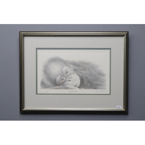 414 - Peter Hildick Signed Limited Edition Print (406 / 750) entitled Daydreamer in Framed and Glazed Moun... 