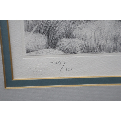 416 - Peter Hildick Signed Limited Edition Print (748/ 750) entitled Lesson One in Framed and Glazed Mount... 