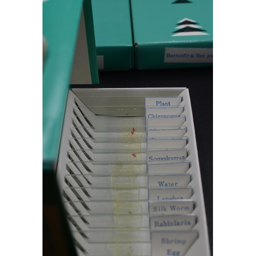 430 - Box of 60 Prepared Opticraft Microscope Slides